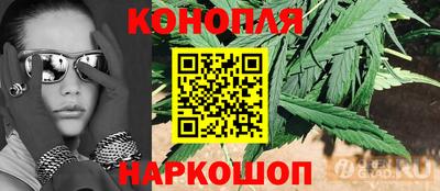 дмт Камышлов