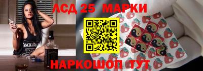 дмт Камышлов