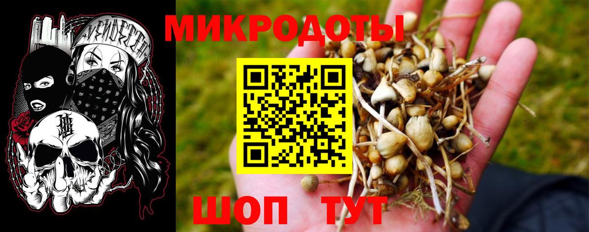 Галлюциногенные грибы прущие грибы  Галлюциногенные грибы ЛСД  Елизово  Вход с VPN 